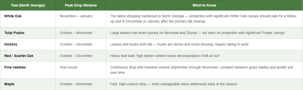 When is a good time to pick up the leaves in north ga