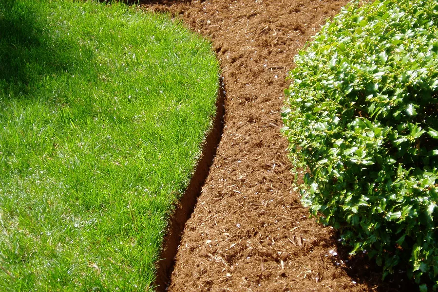 natural garden bed edge