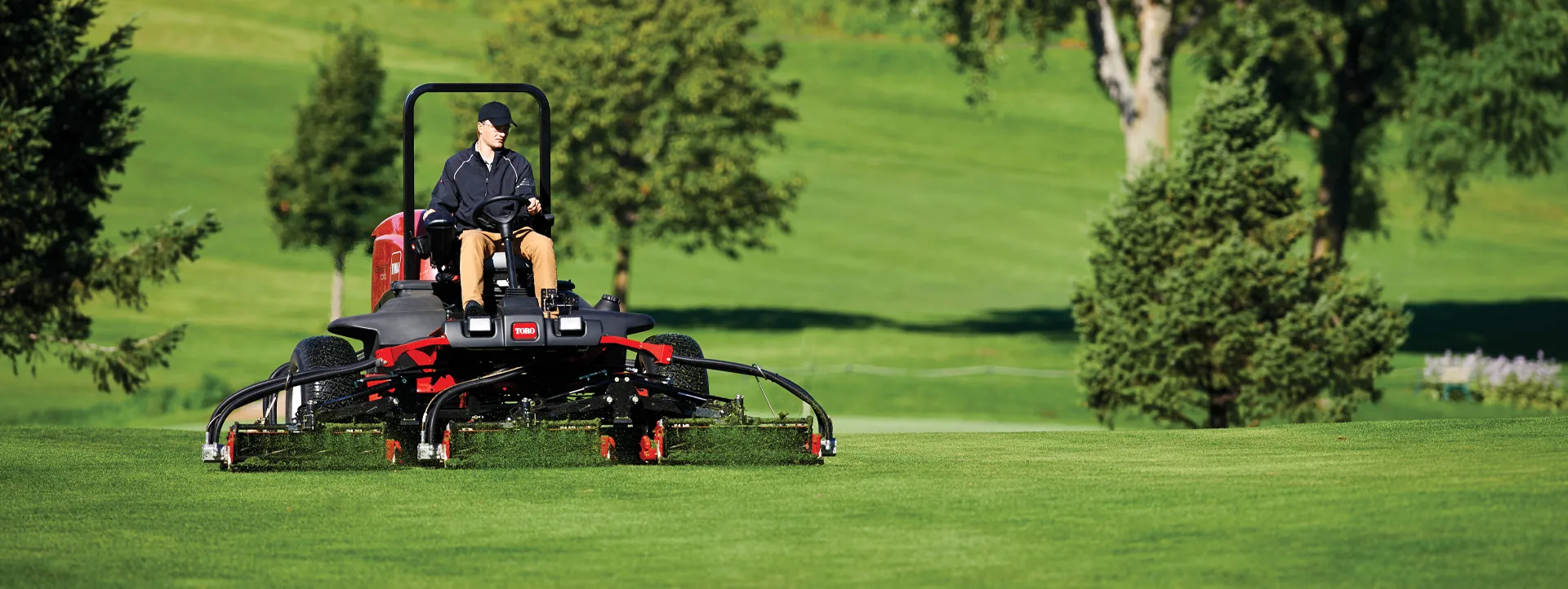 The Complete Guide to Lawn Care in North Georgia