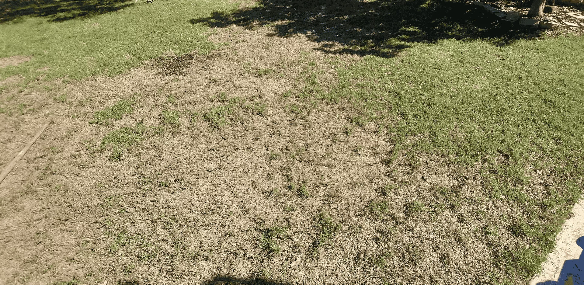 The #1 Bermuda Mowing Mistake in Spring