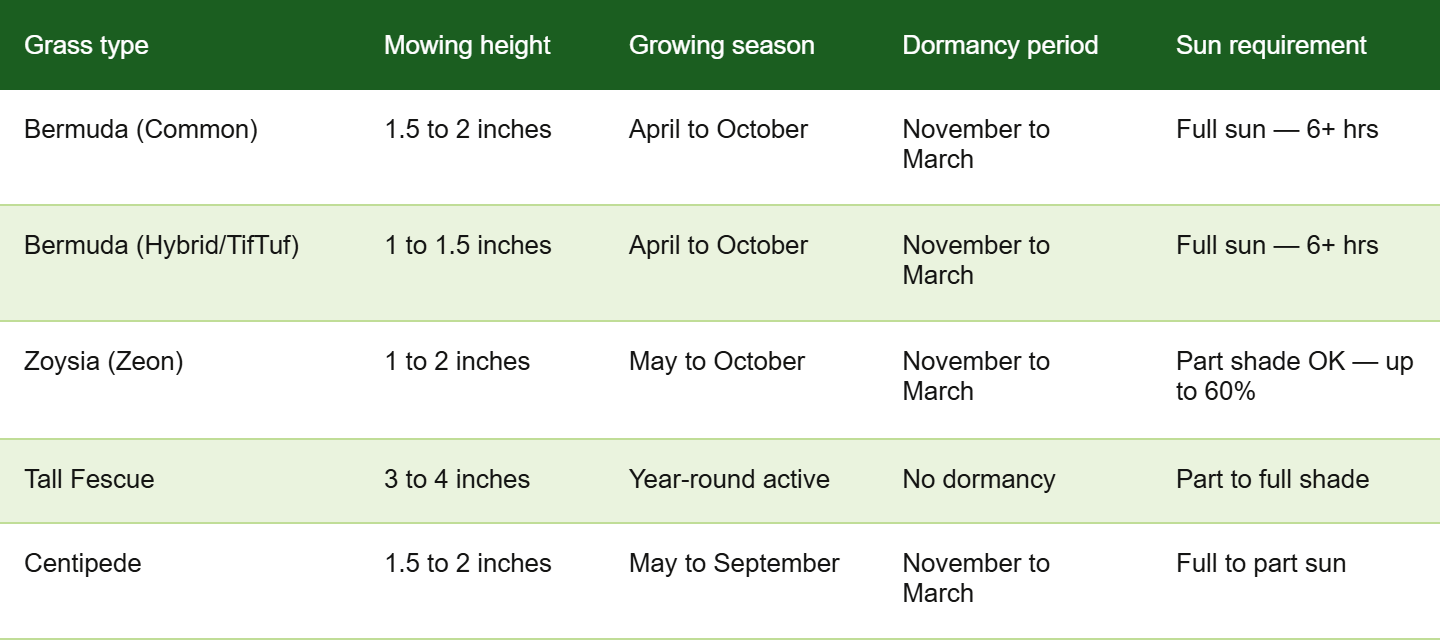 Comparison chart of grass types for North Georgia lawns including Bermuda, Zoysia, Tall Fescue and Centipede with mowing height and growing season
