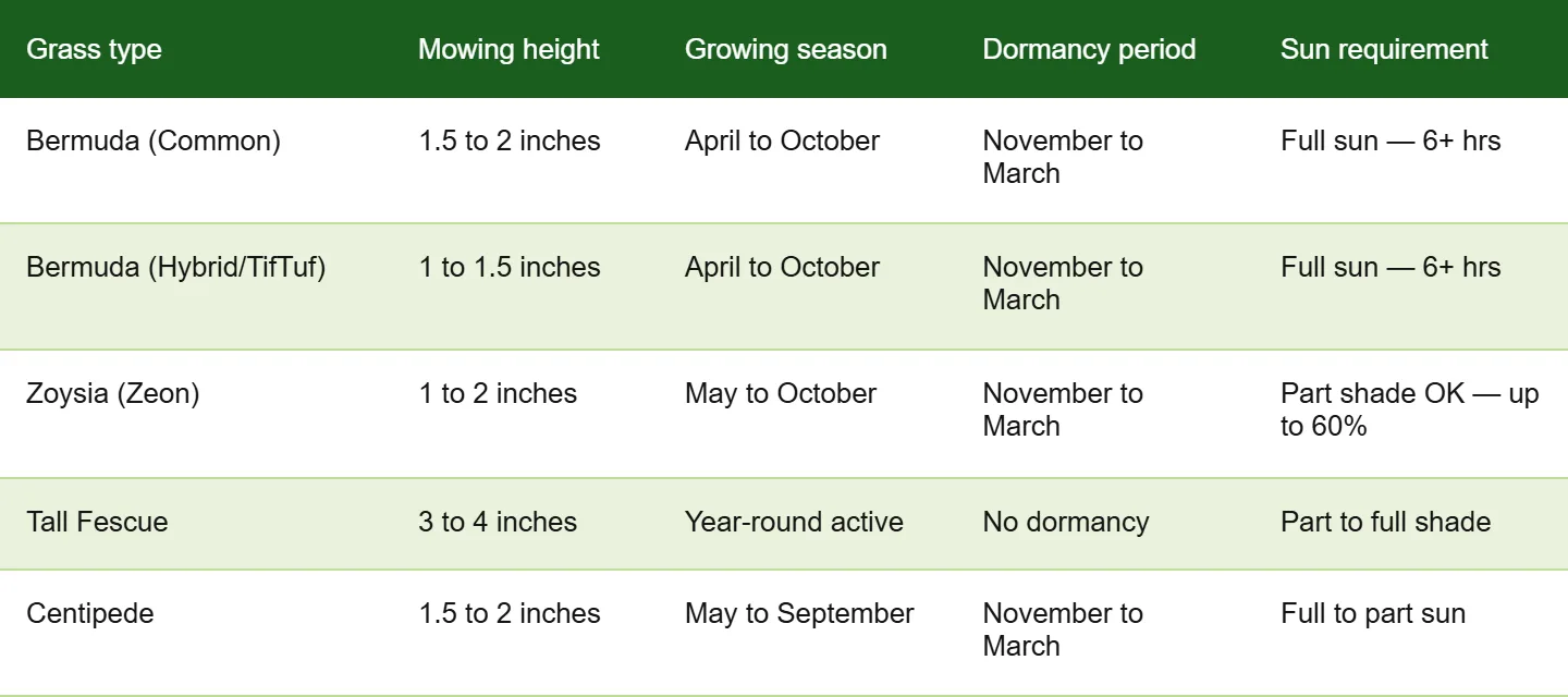 Comparison chart of grass types for North Georgia lawns including Bermuda, Zoysia, Tall Fescue and Centipede with mowing height and growing season