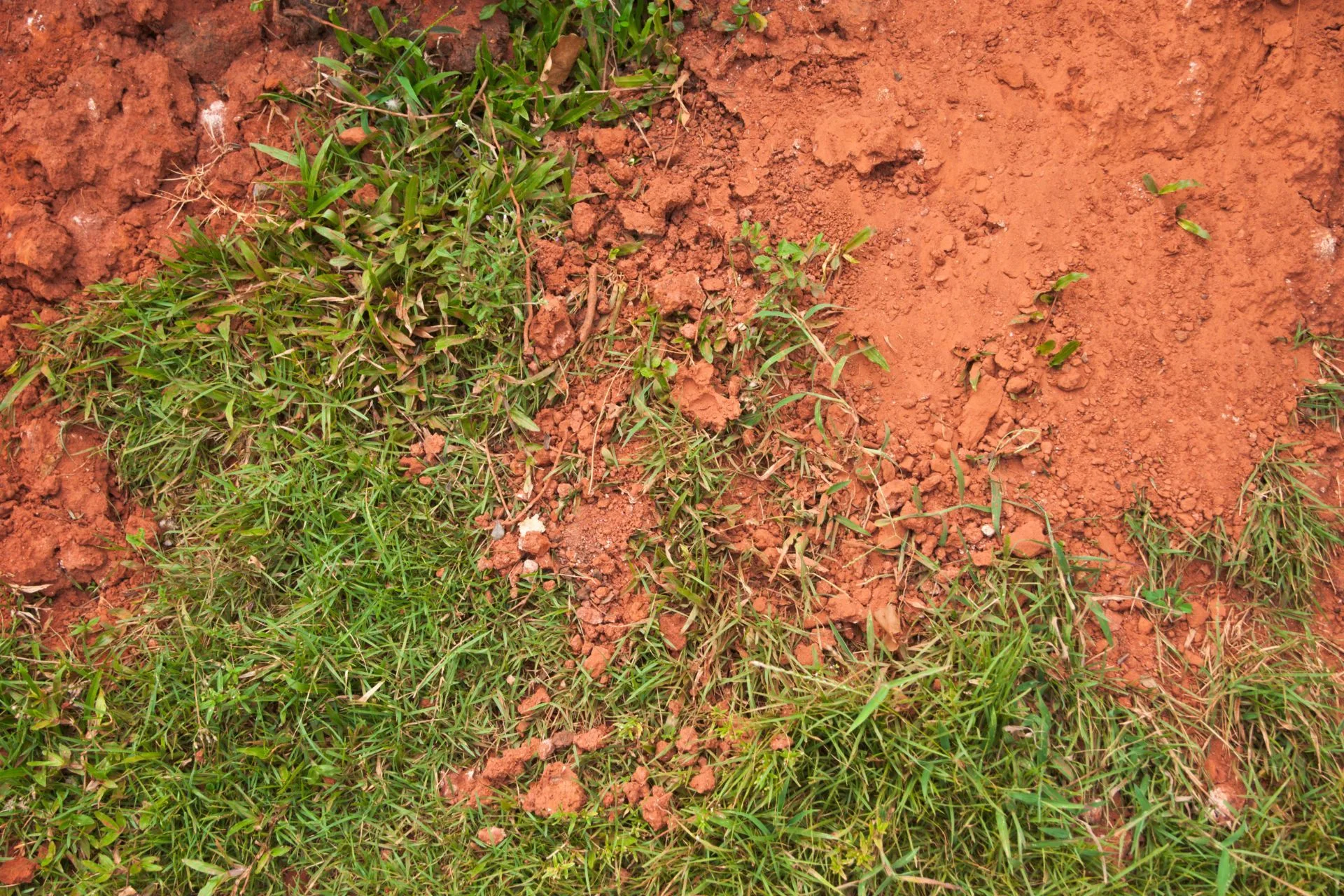 North Georgia Clay Soil Is Hurting Your Lawn Right Now