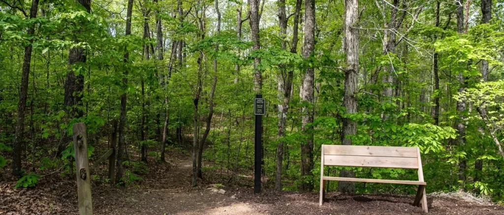 Lush green North Georgia hardwood forest in spring, with a wooden bench and trail marker along a wooded path in the Dawsonville area