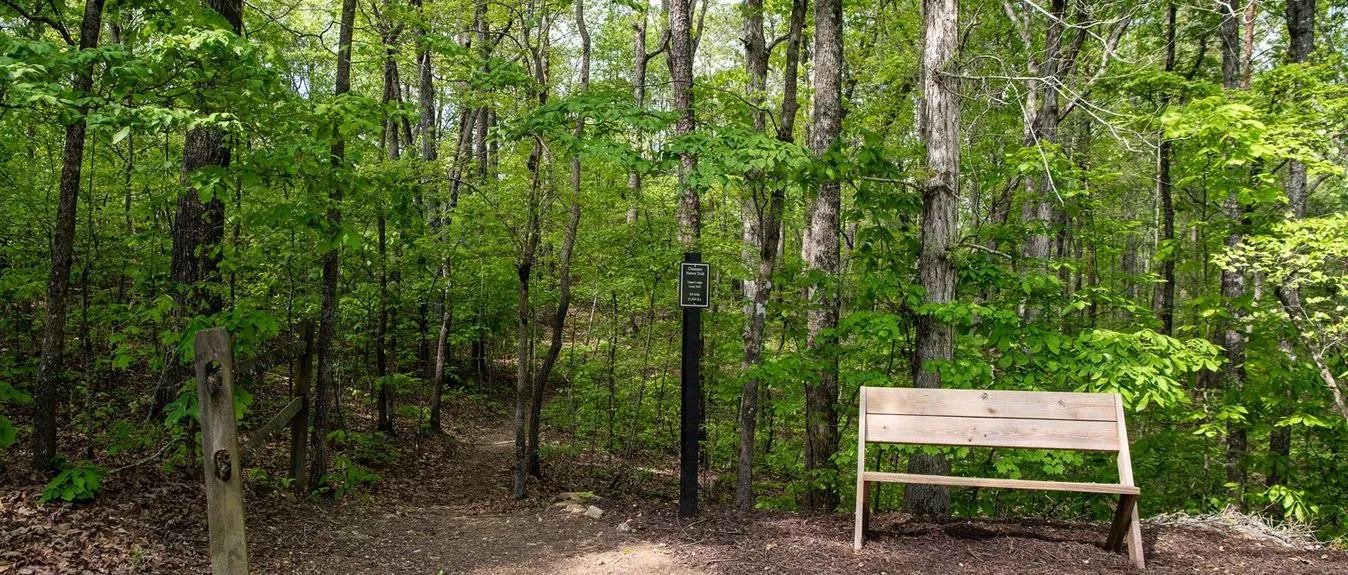 Happy Friday Dawsonville — Weekend Lawn Tip