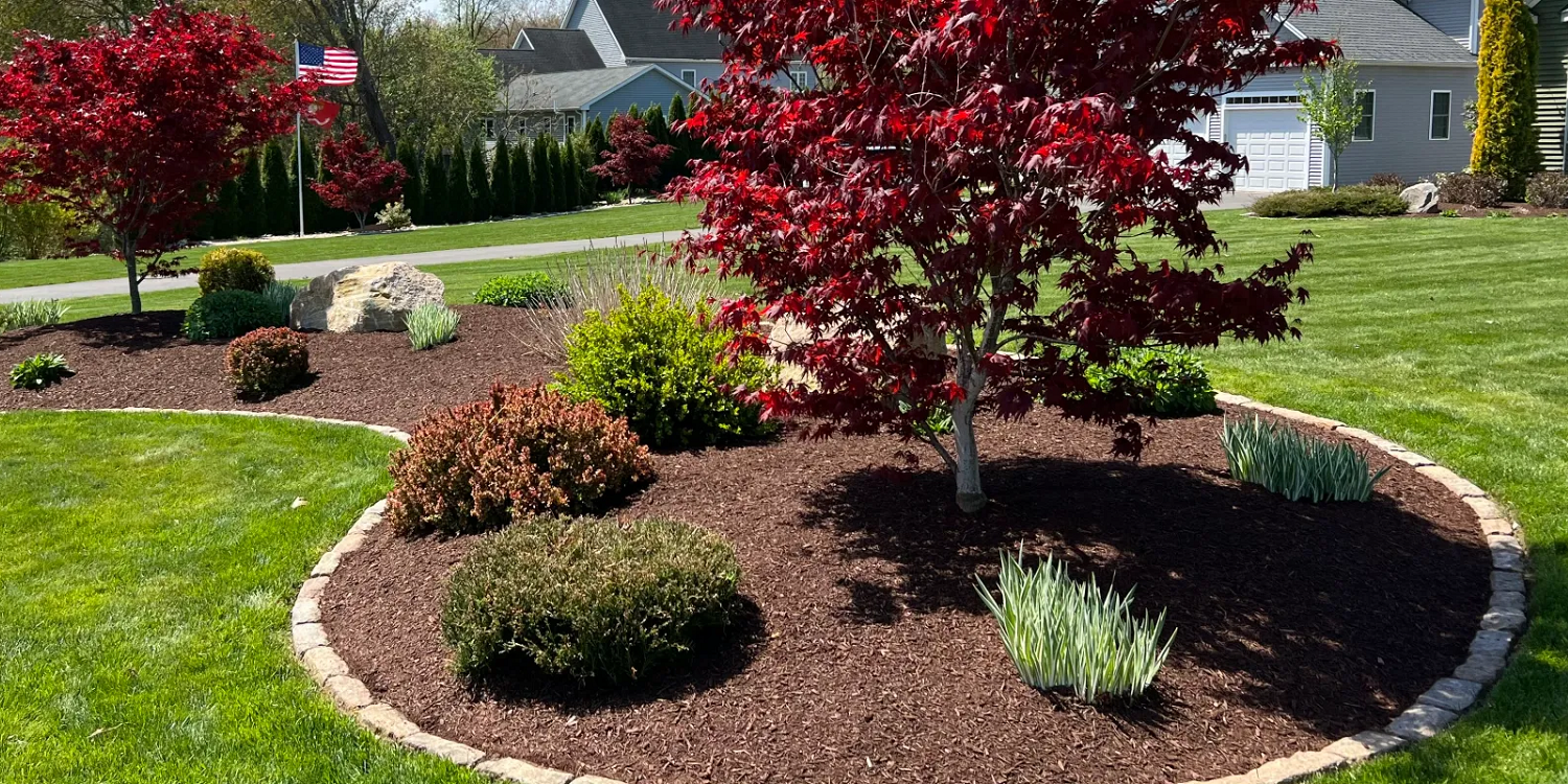 Professionally installed residential garden bed with dark brown mulch, stone edging, a red Japanese maple, mixed shrubs, and ornamental plantings on a lush green lawn in a Dawsonville area neighborhood