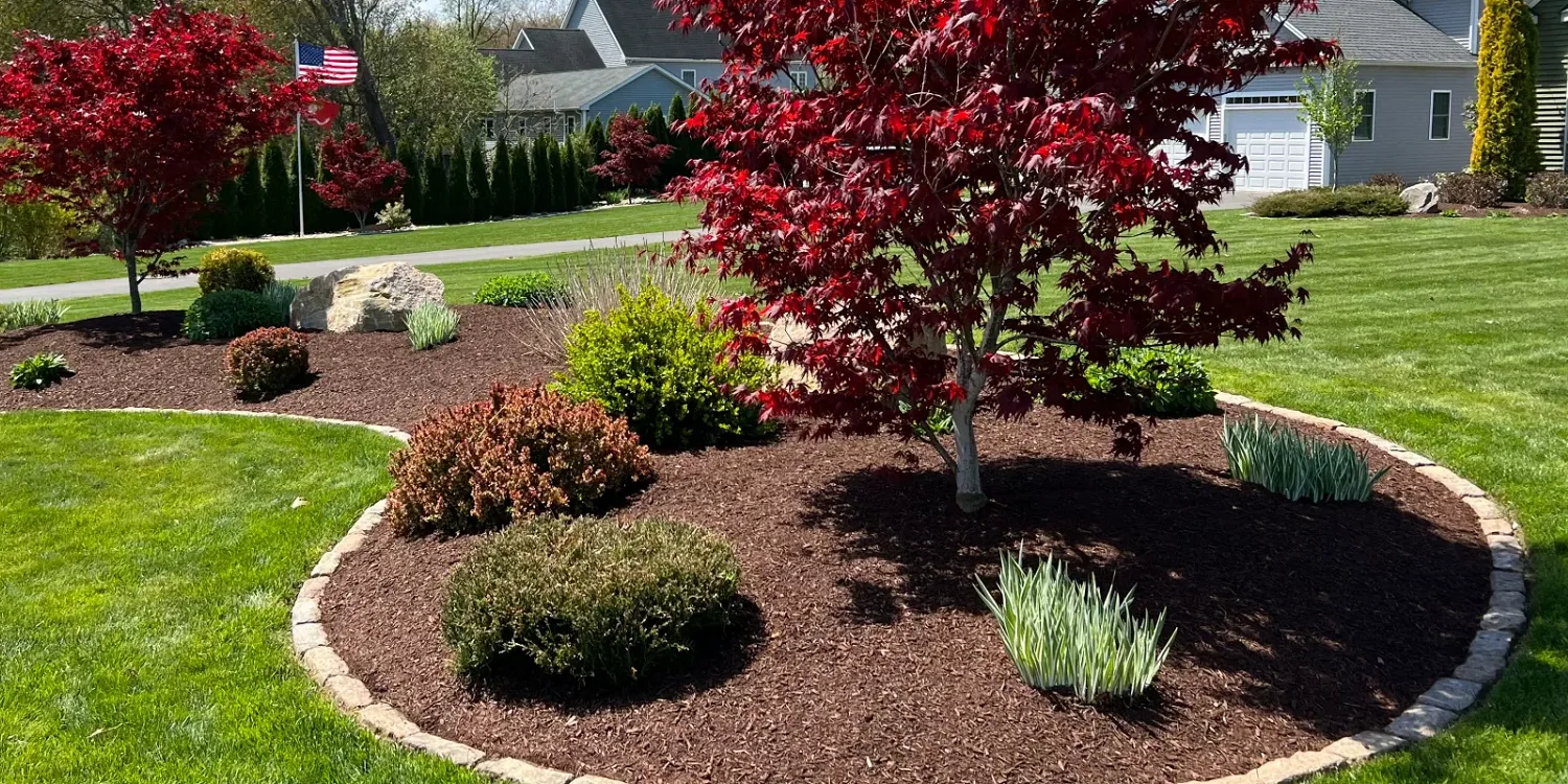 Professionally installed residential garden bed with dark brown mulch, stone edging, a red Japanese maple, mixed shrubs, and ornamental plantings on a lush green lawn in a Dawsonville area neighborhood